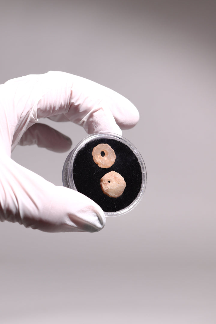 Stone Age Beads from the Sahara Desert