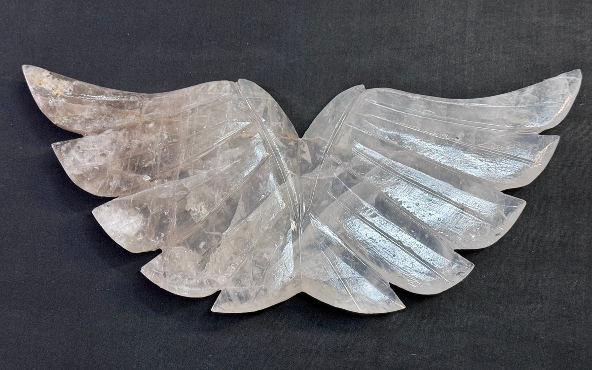 Angel Wings