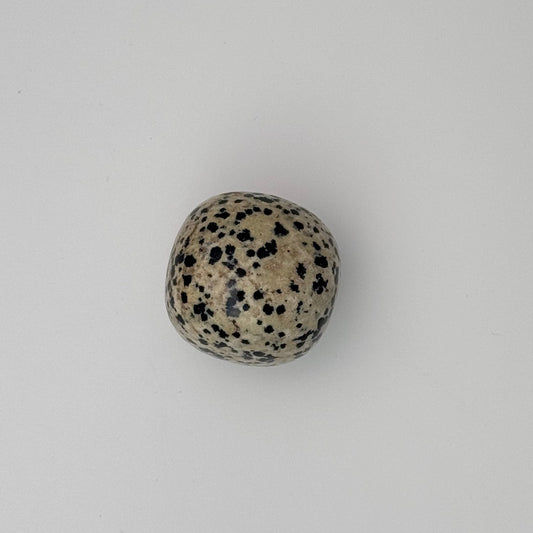 Dalmation Jasper Tumble