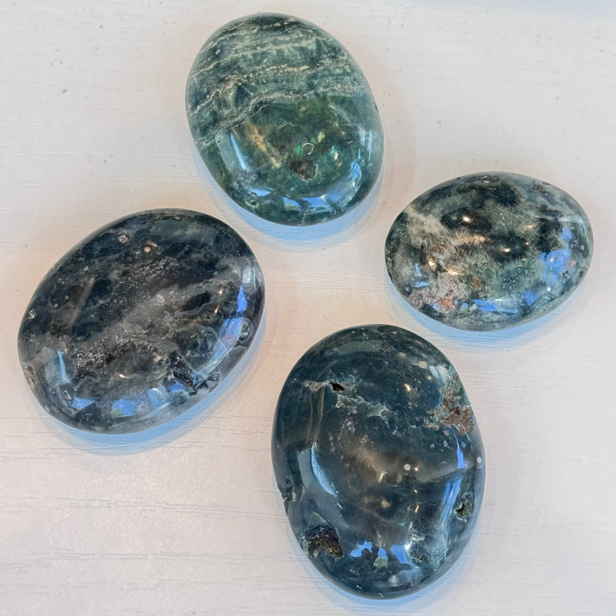 Orbicular (Ocean) Jasper