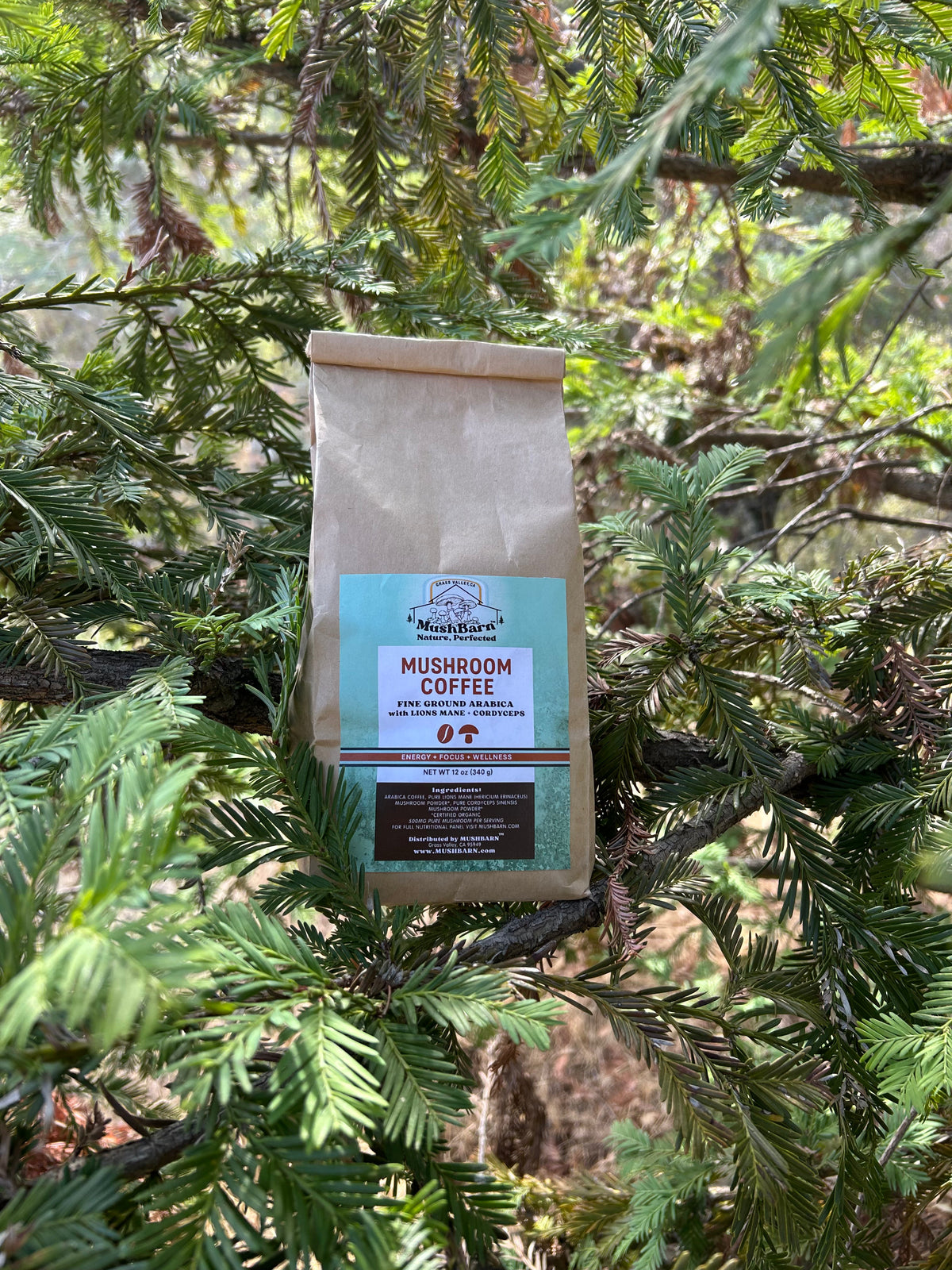 Mushroom Coffee 12oz -  Lions Mane + Cordyceps