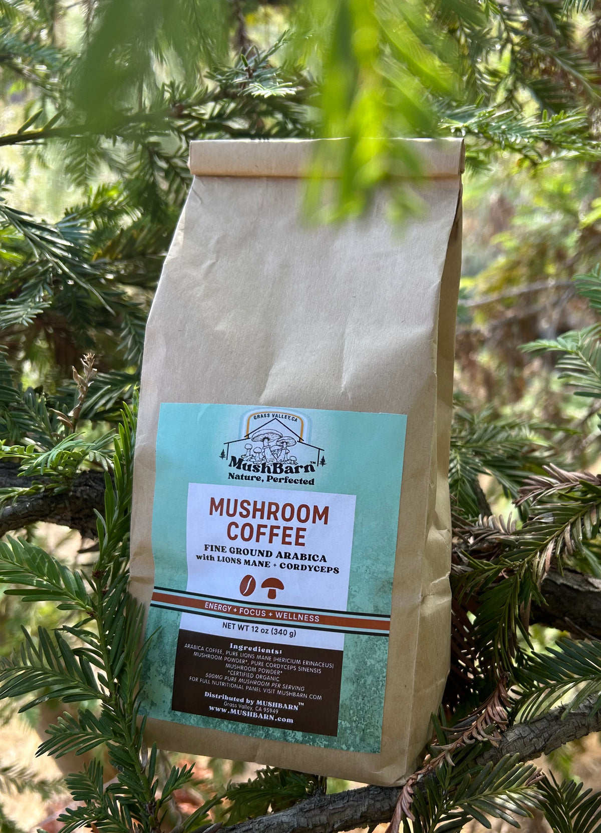 Mushroom Coffee 12oz -  Lions Mane + Cordyceps