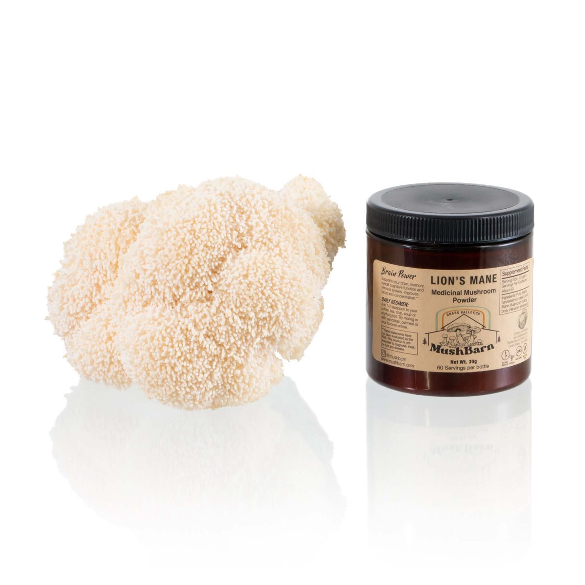 Lion's Mane Mushroom Powder