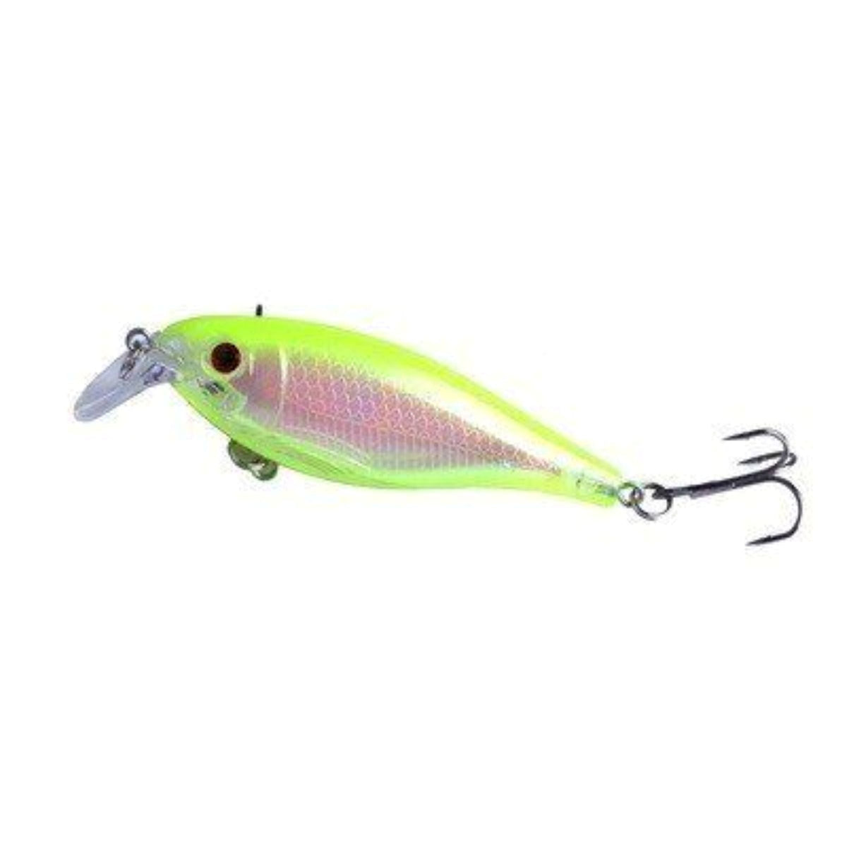 Square Bill Minnow