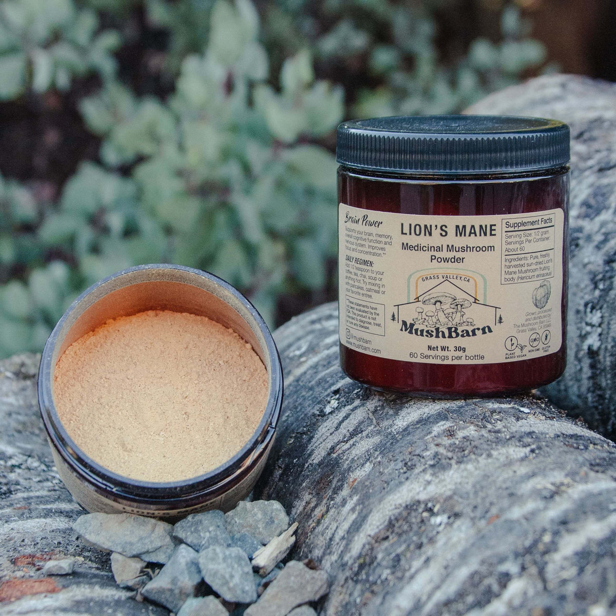 Lion's Mane Mushroom Powder