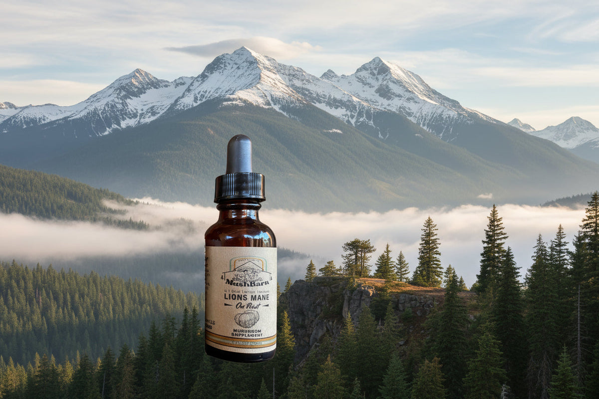 Lions Mane Tincture - On Point