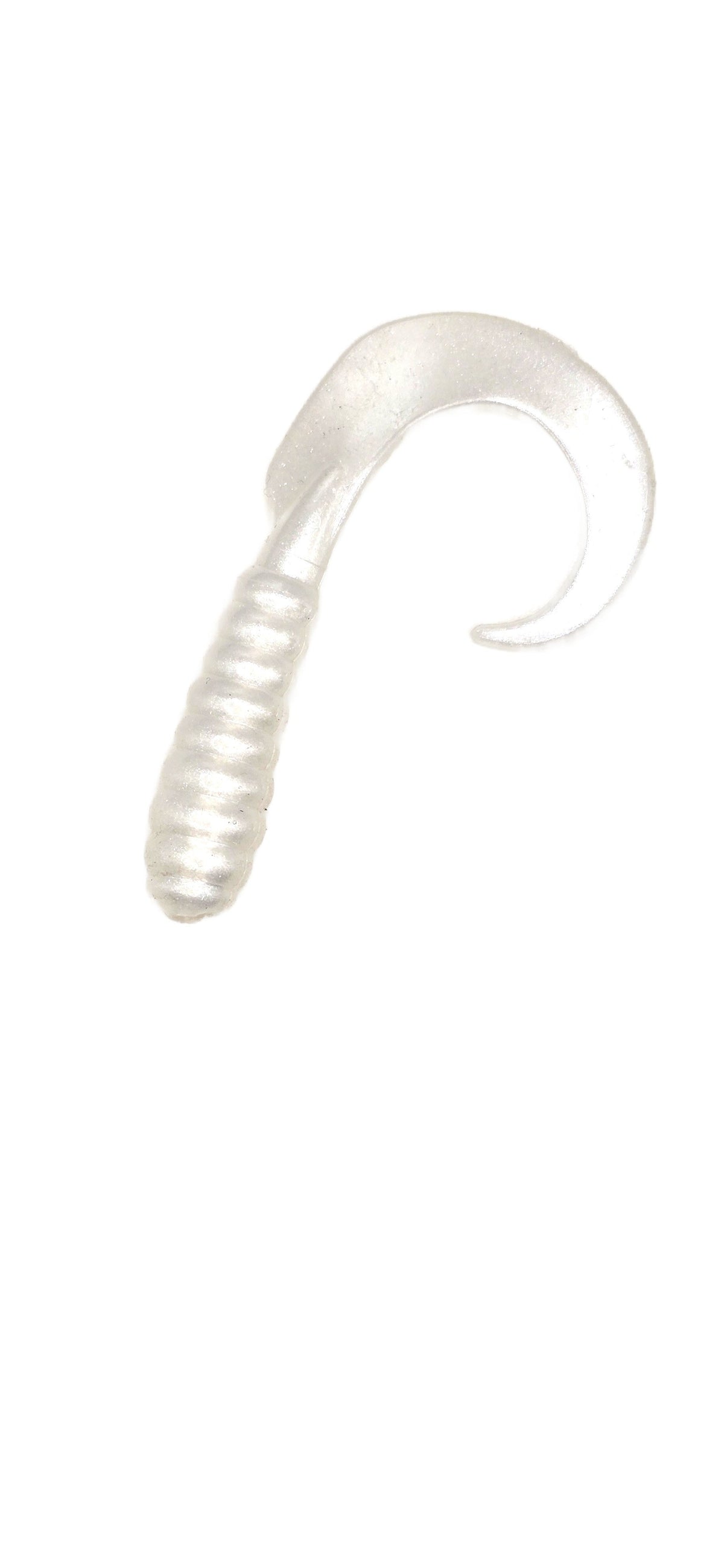 Single Tail Grub