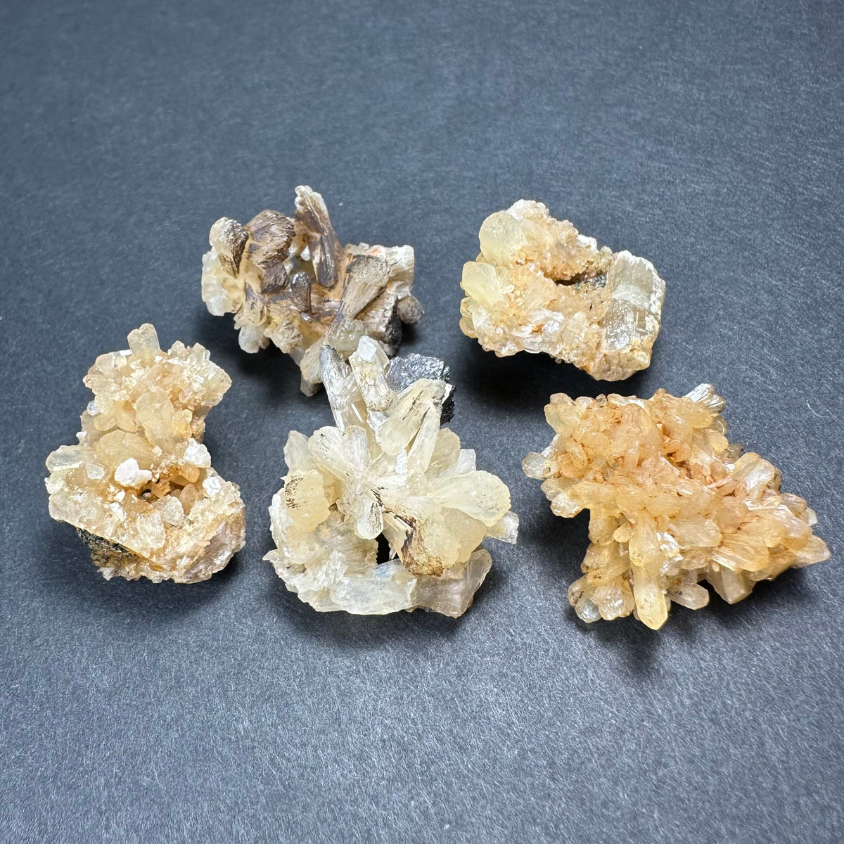 Thumbnail Specimens in Acrylic Box from Morocco