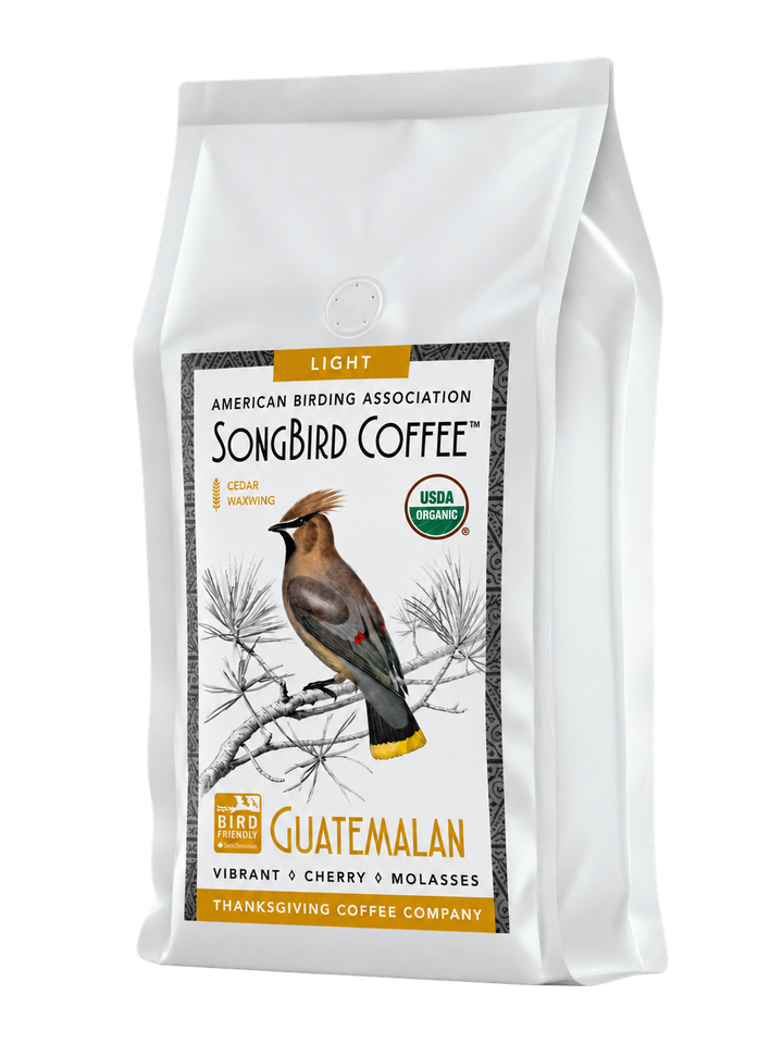 SongBird Guatemalan