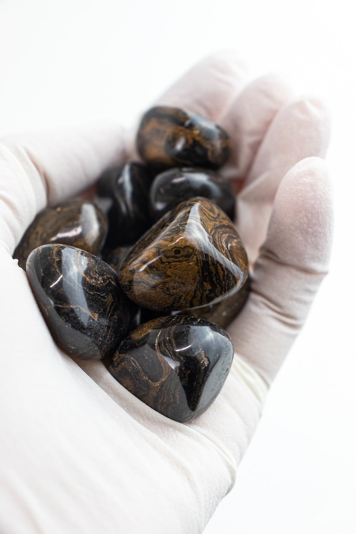 Stromatolite