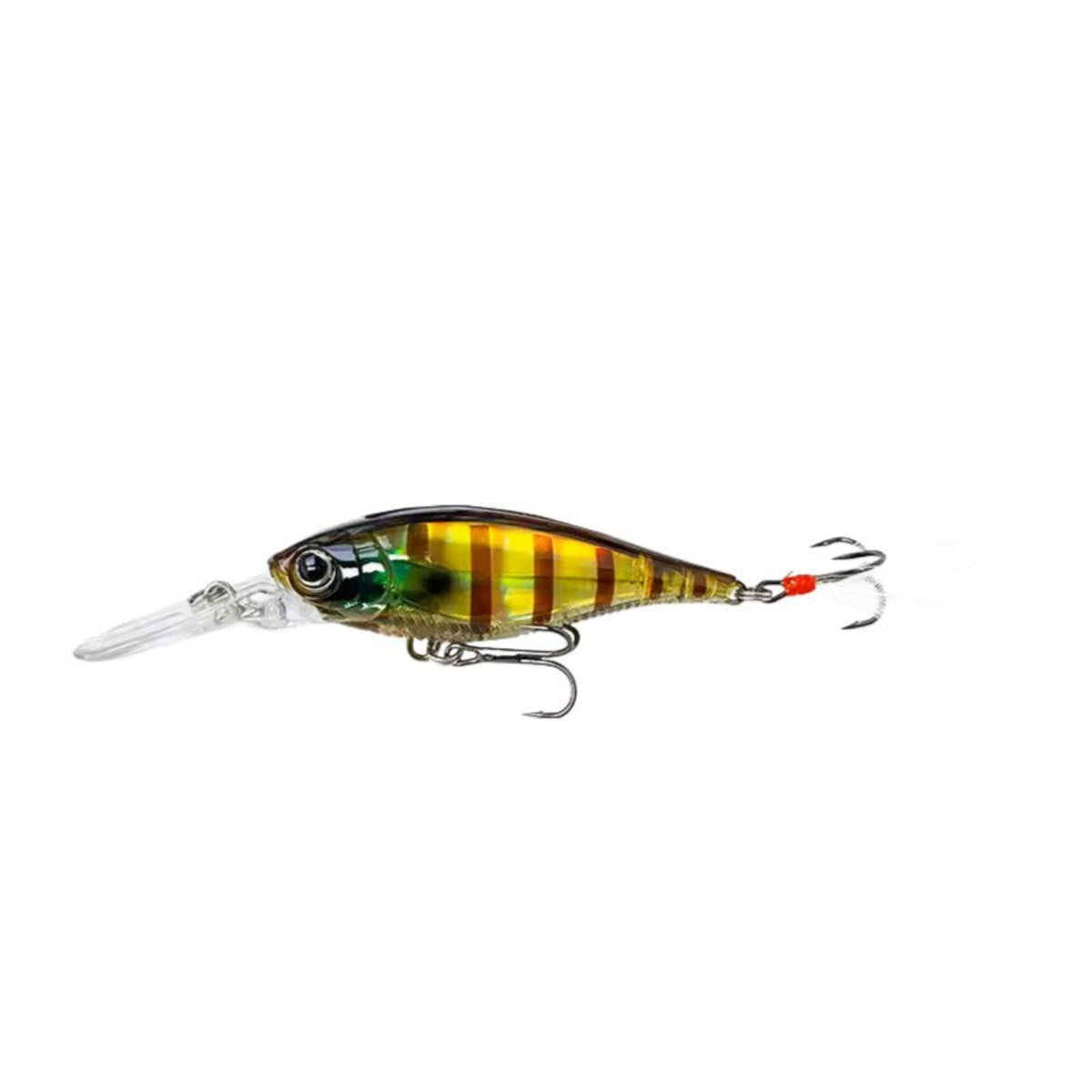 3D Minnow