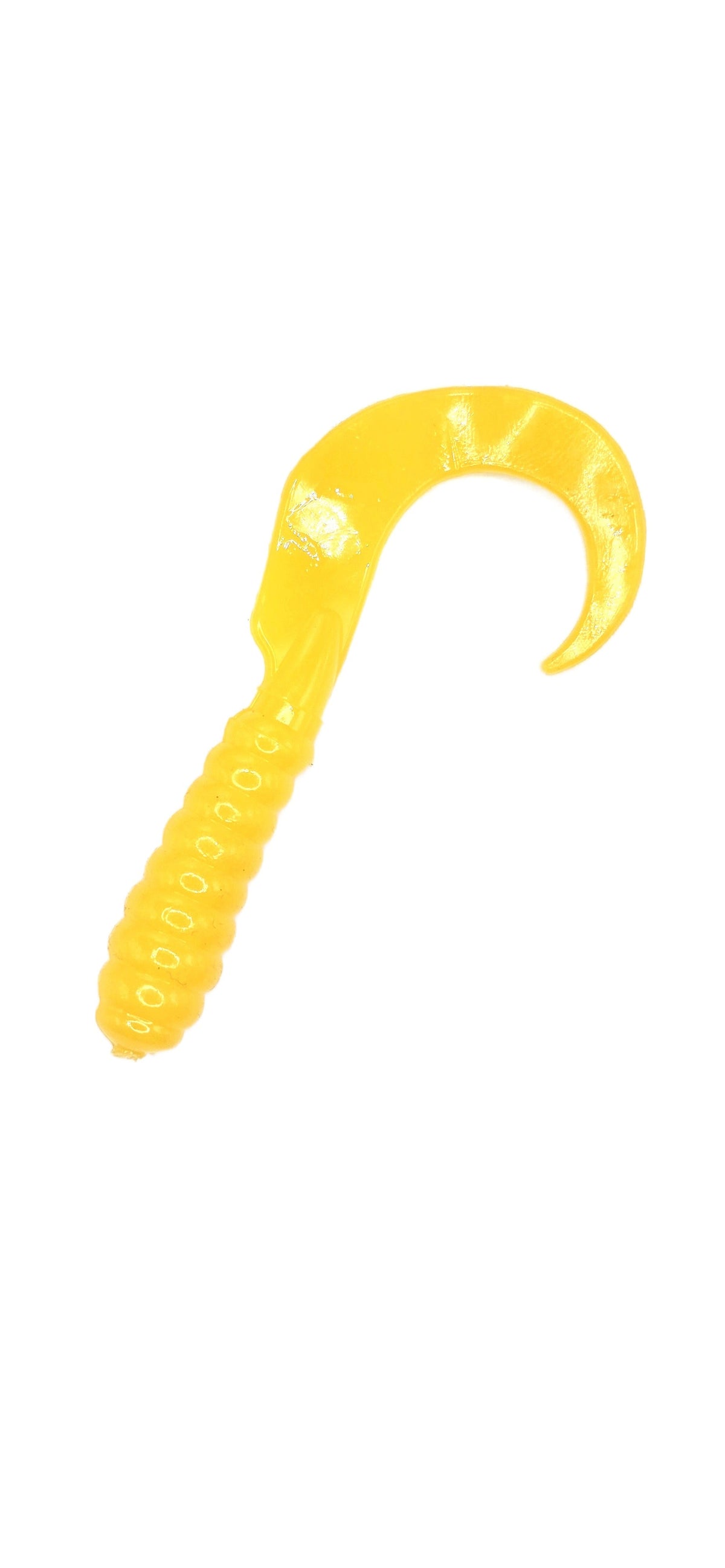 Single Tail Grub