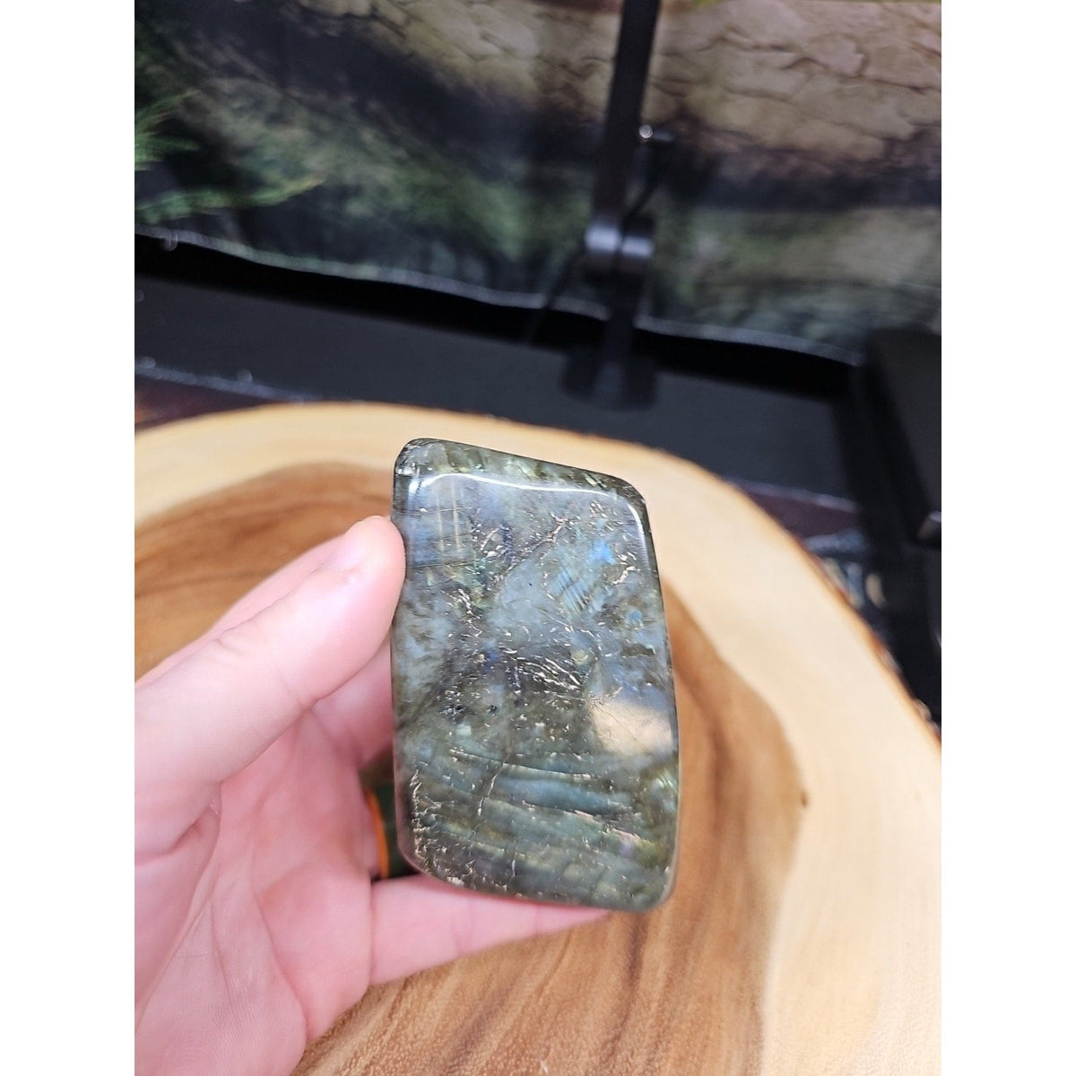 1LB 1Pcs Natural Rainbow Labradorite Crystal Spectrolite Stone