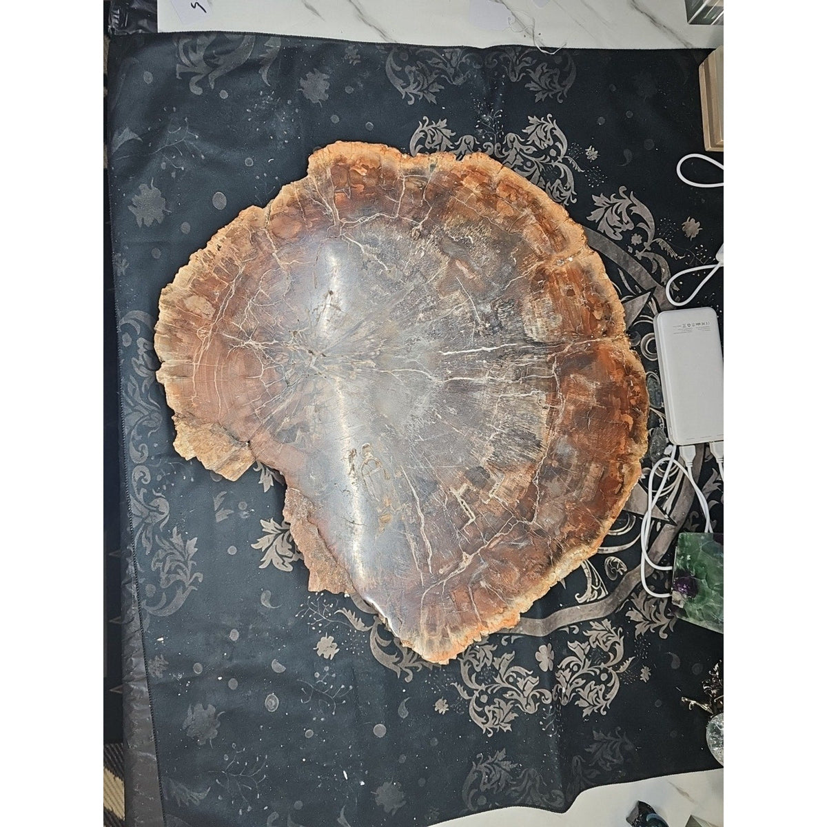 27.3 lb Fossil Wood Sculpture — Mineral Statement Piece