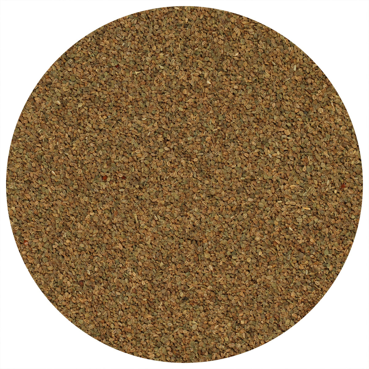 Celery Seeds (Whole)
