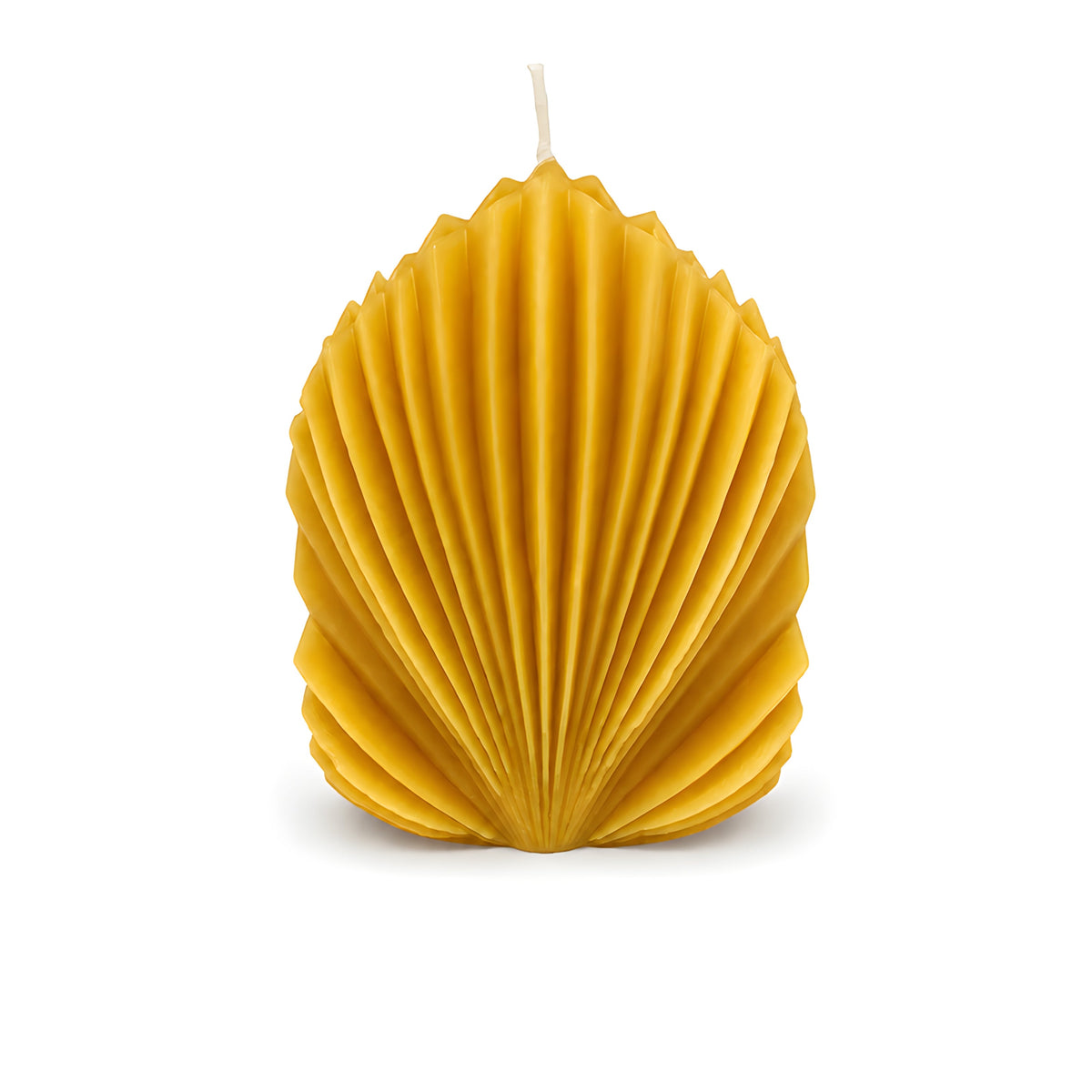 Architectural Seashell Design Beeswax Candle