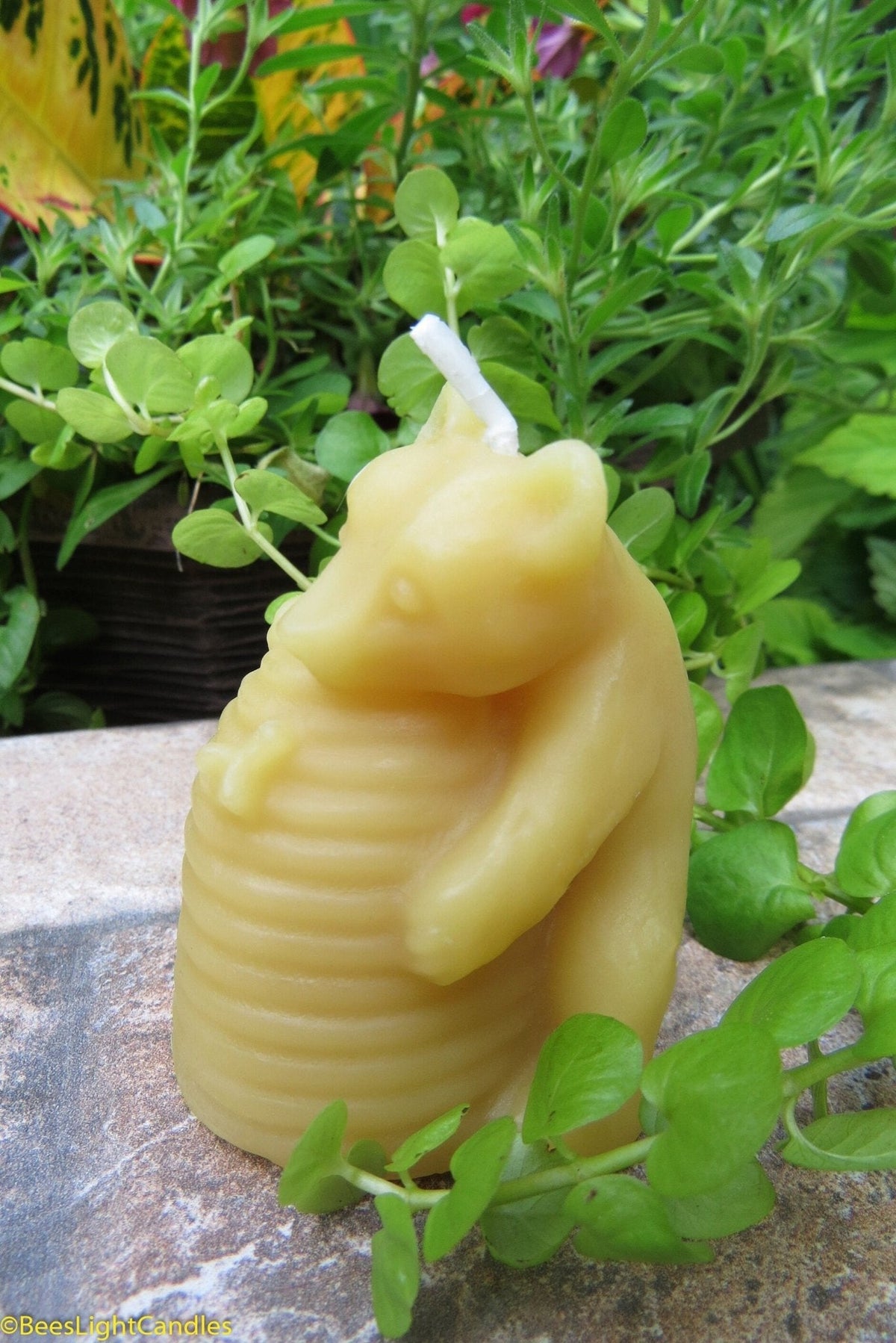 Honey Haven Bear Beeswax Candle