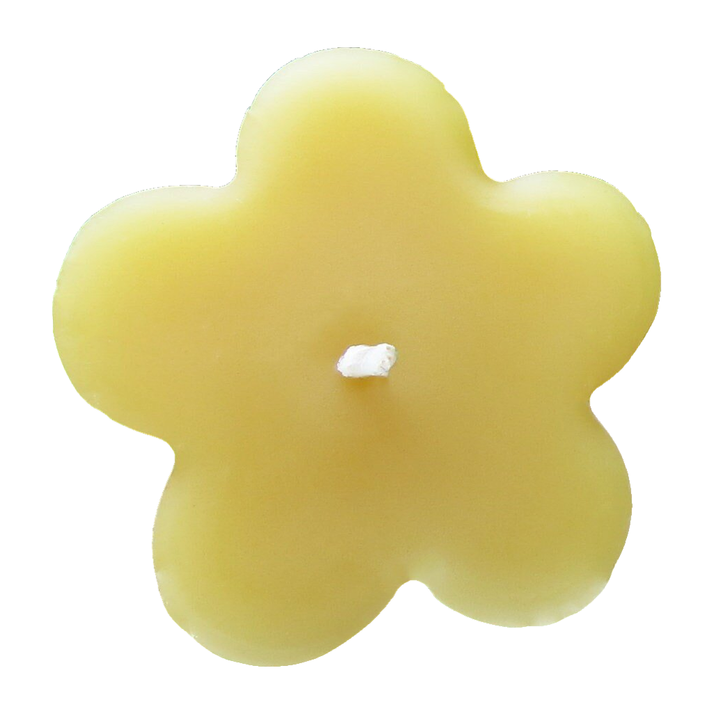 Clover Floating Beeswax Candles
