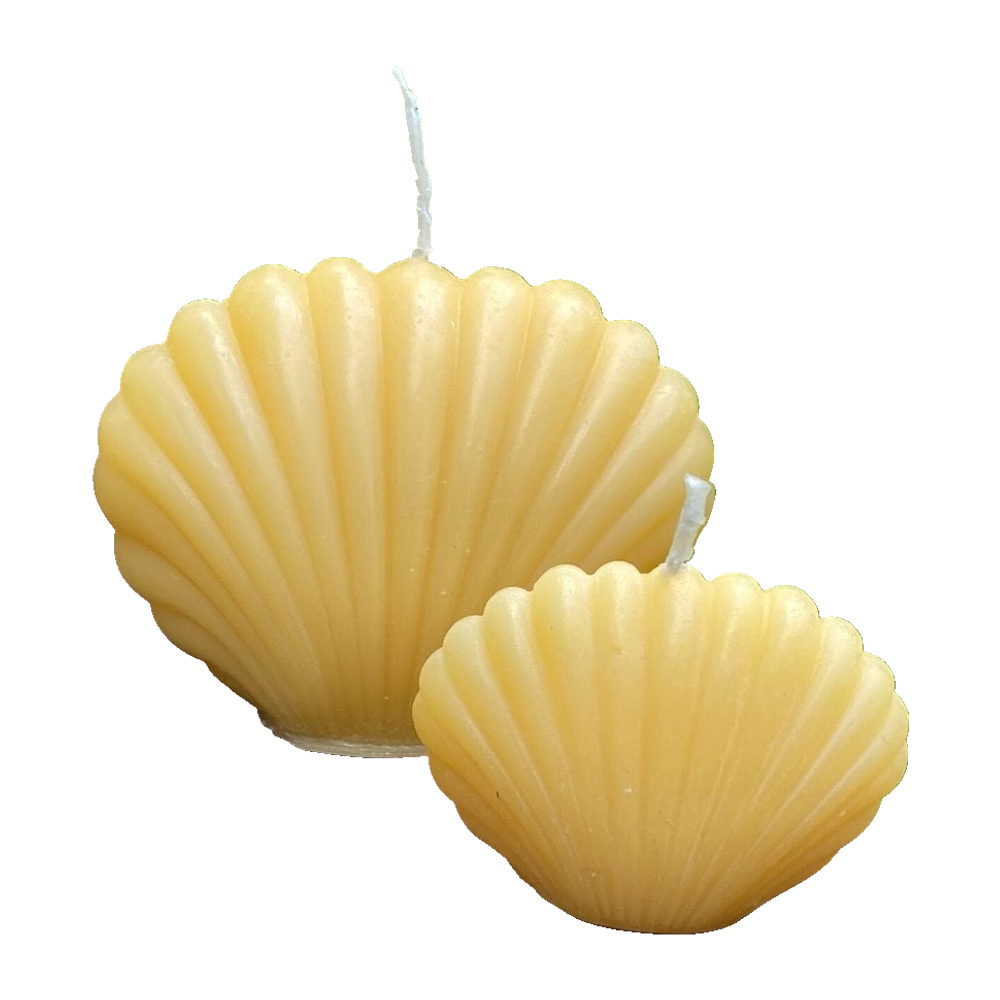 Clam Shell Beeswax Candle Set