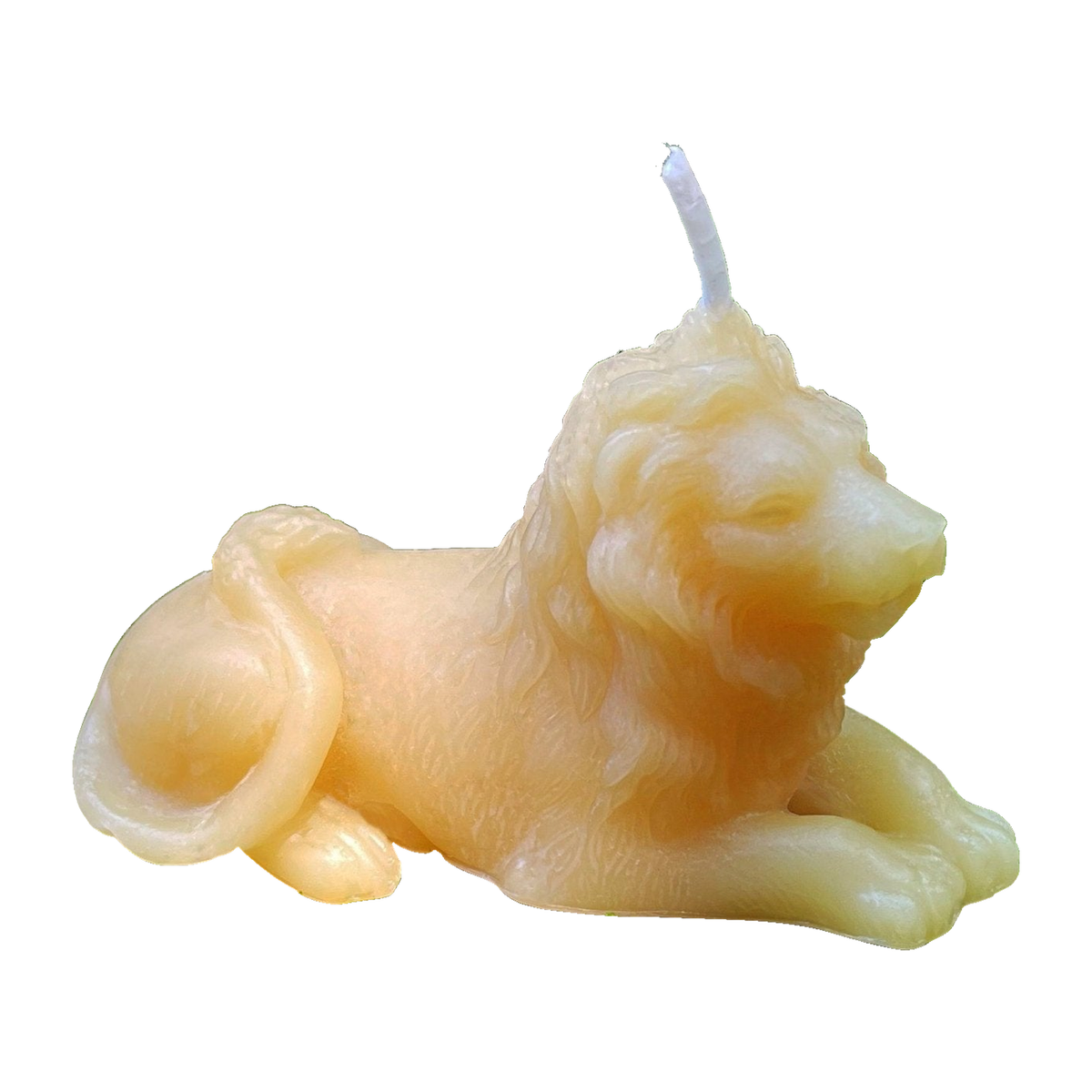 Lion Beeswax Candle