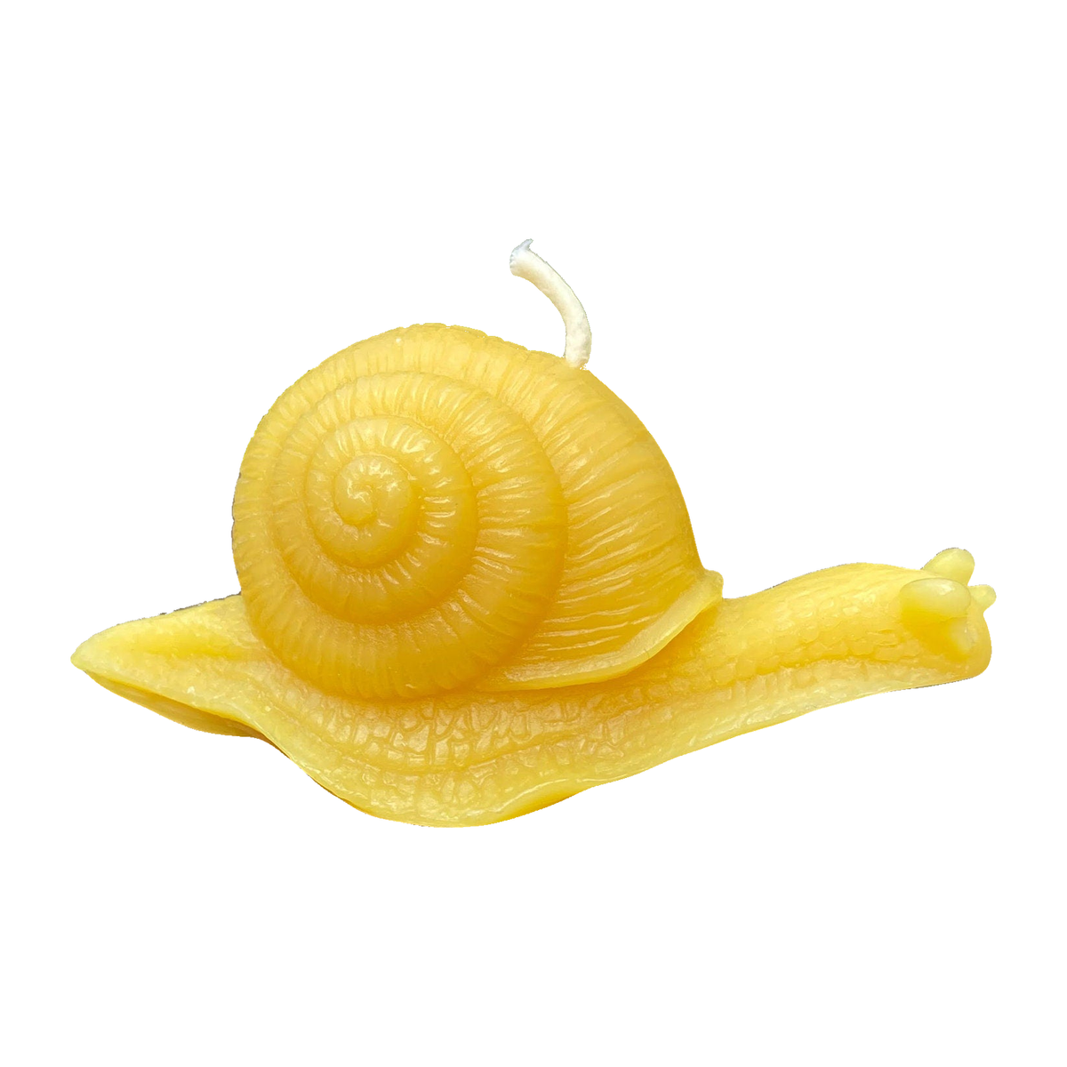 Snail Beeswax Candle