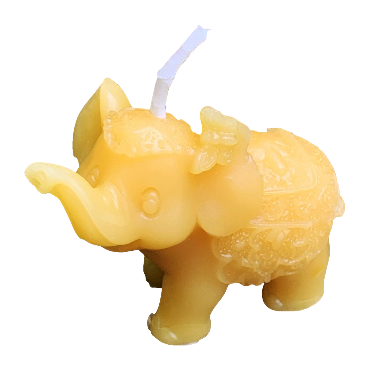 African Elephant Beeswax Candle