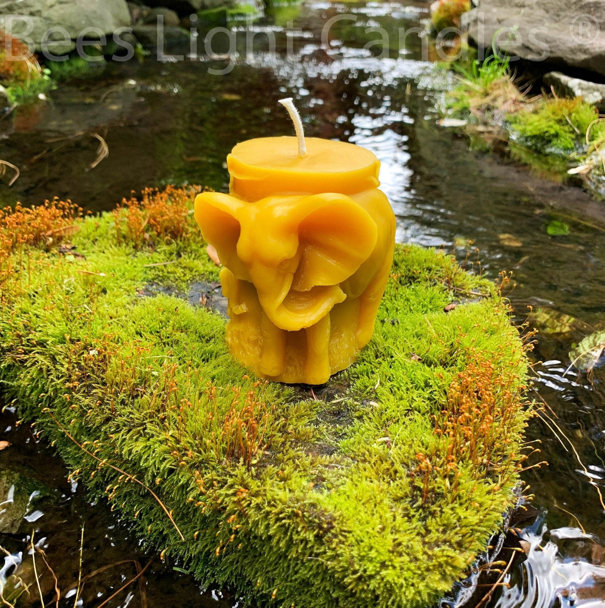 Animal Pillar Beeswax Candles