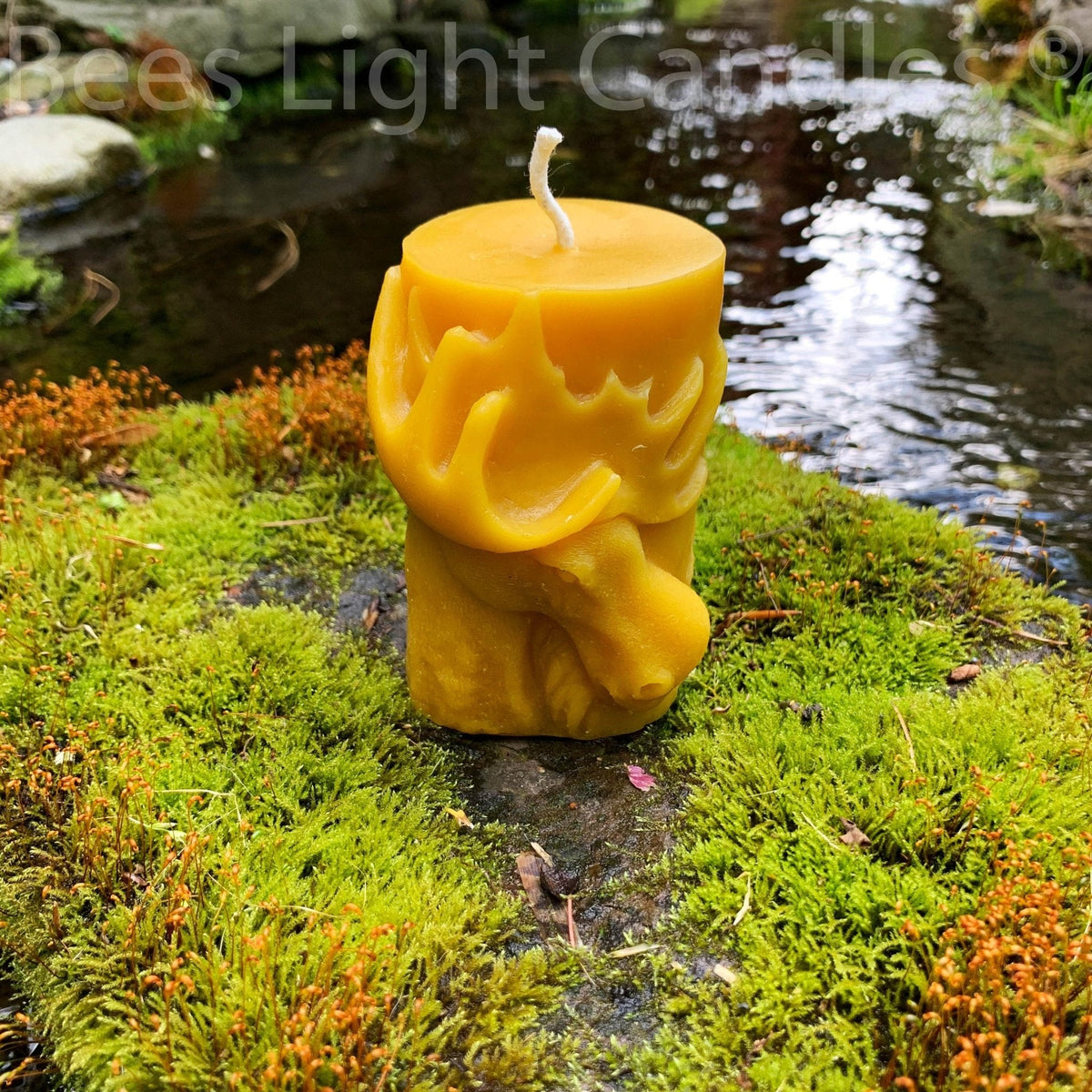 Animal Pillar Beeswax Candles