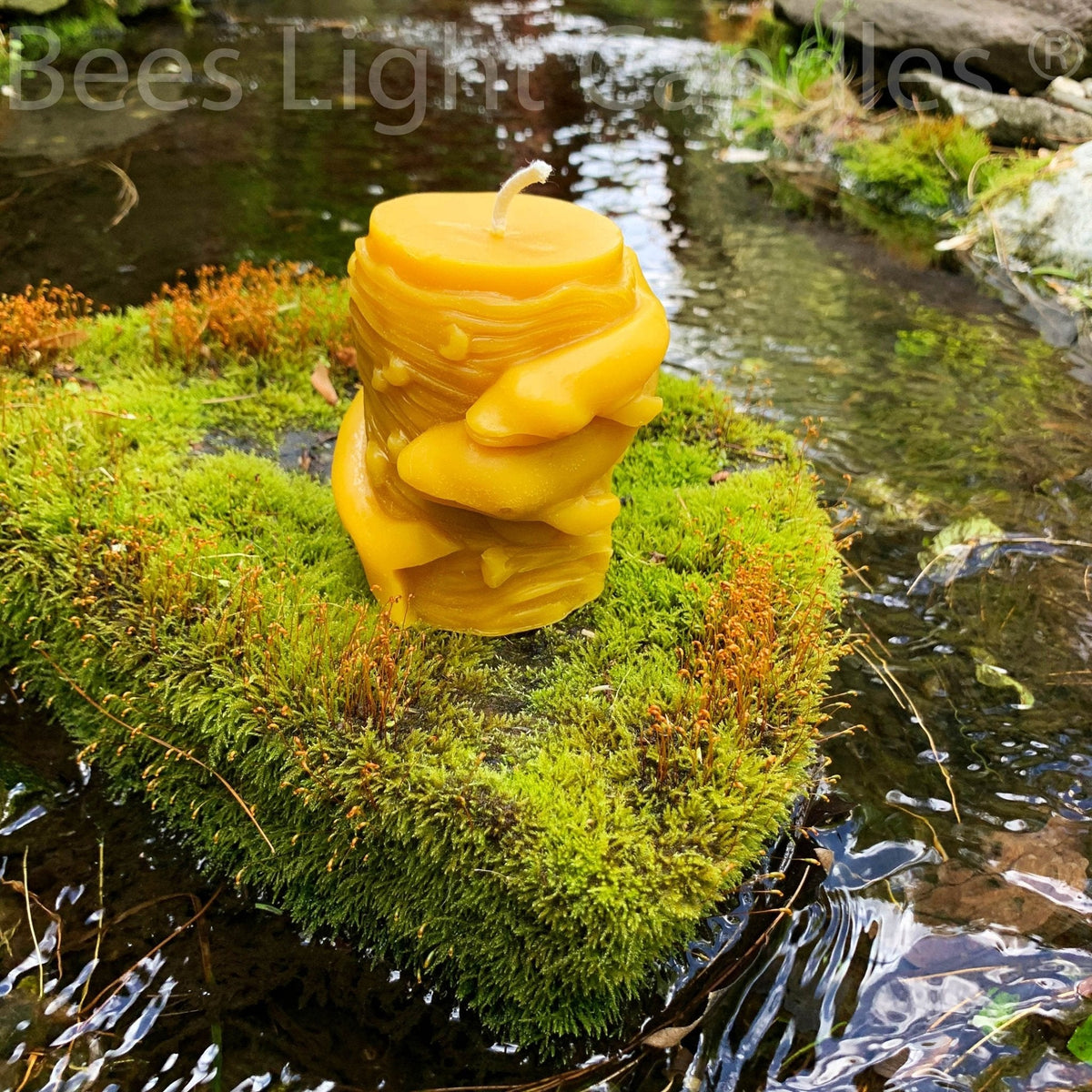 Animal Pillar Beeswax Candles