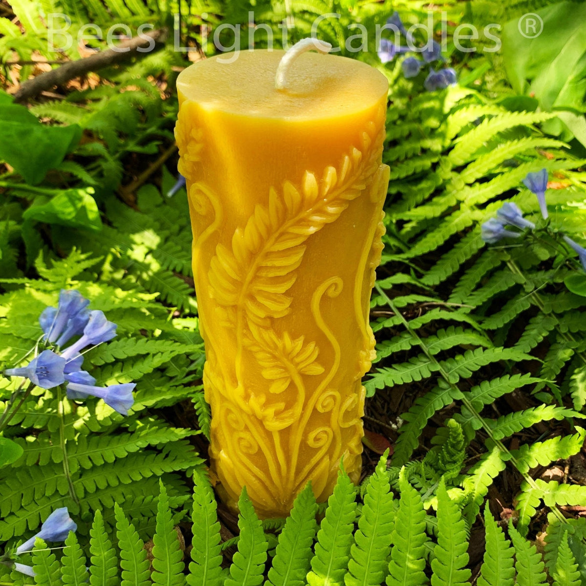 Fern Beeswax Candle Set Sphere & Pillar