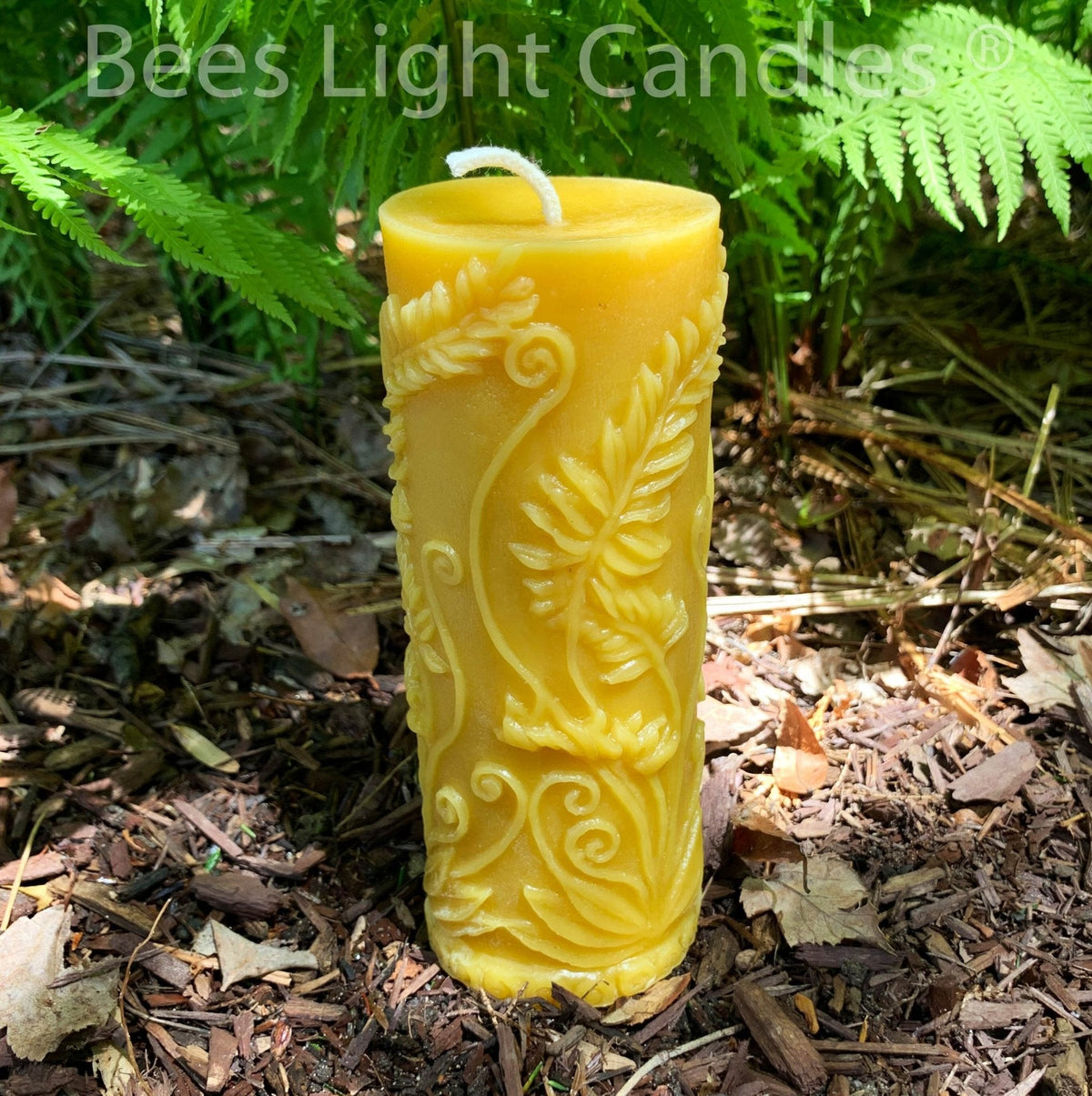Fern Beeswax Candle Set Sphere & Pillar