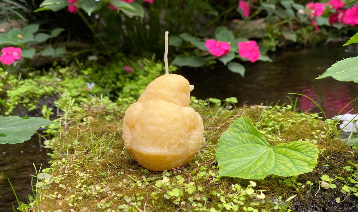 Birdy Perched Beeswax Candle