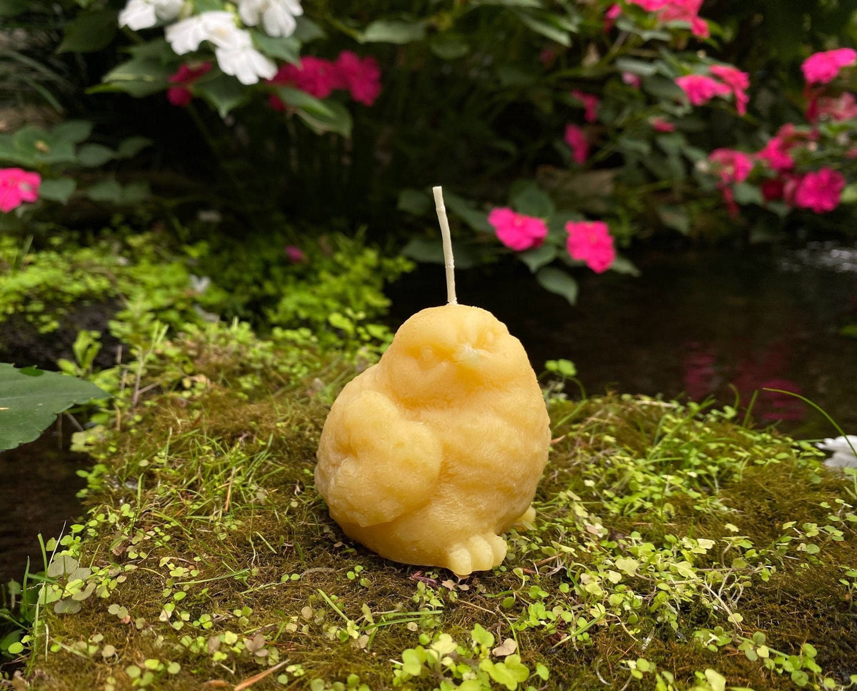 Birdy Perched Beeswax Candle