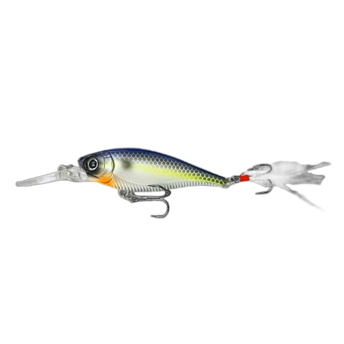 3D Minnow