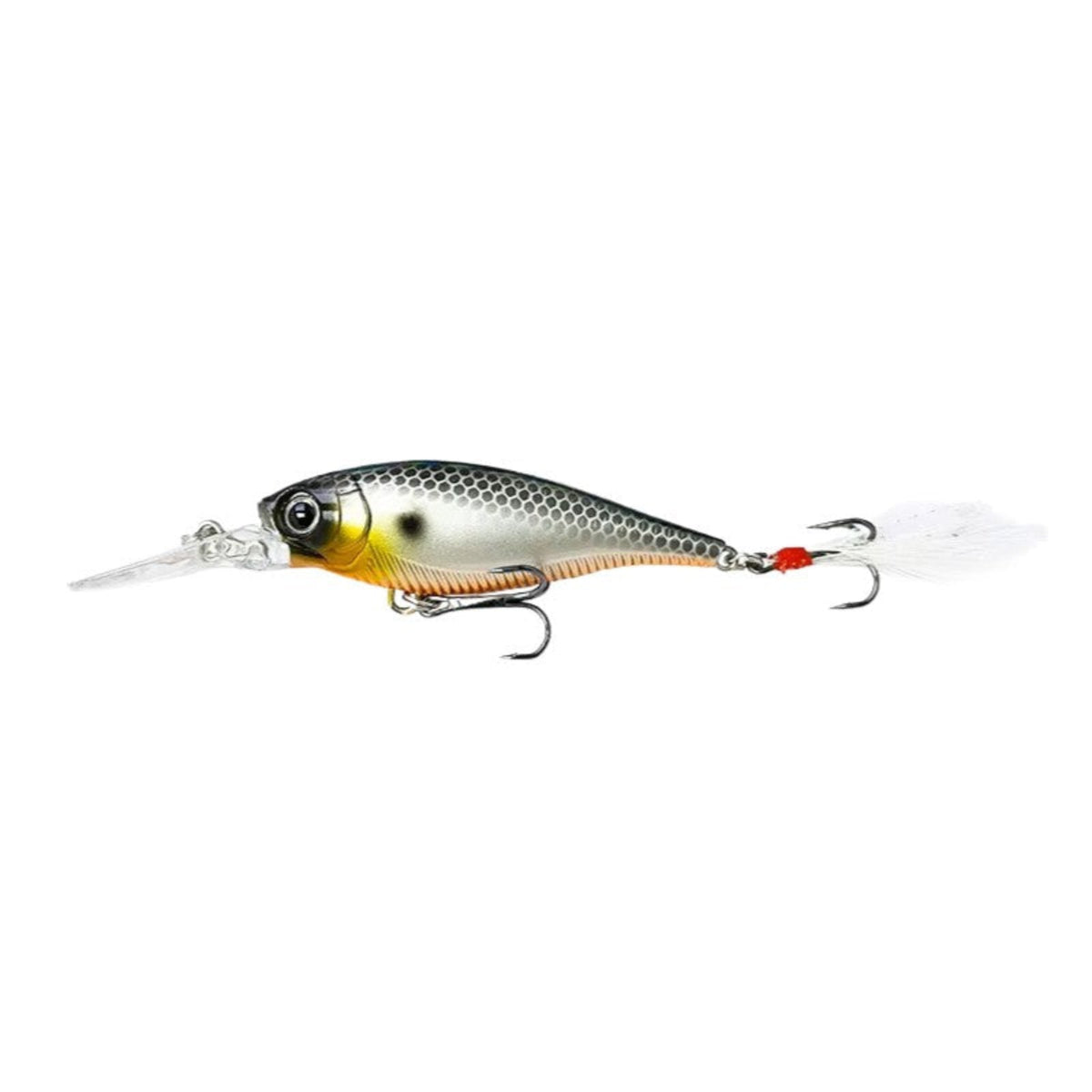3D Minnow