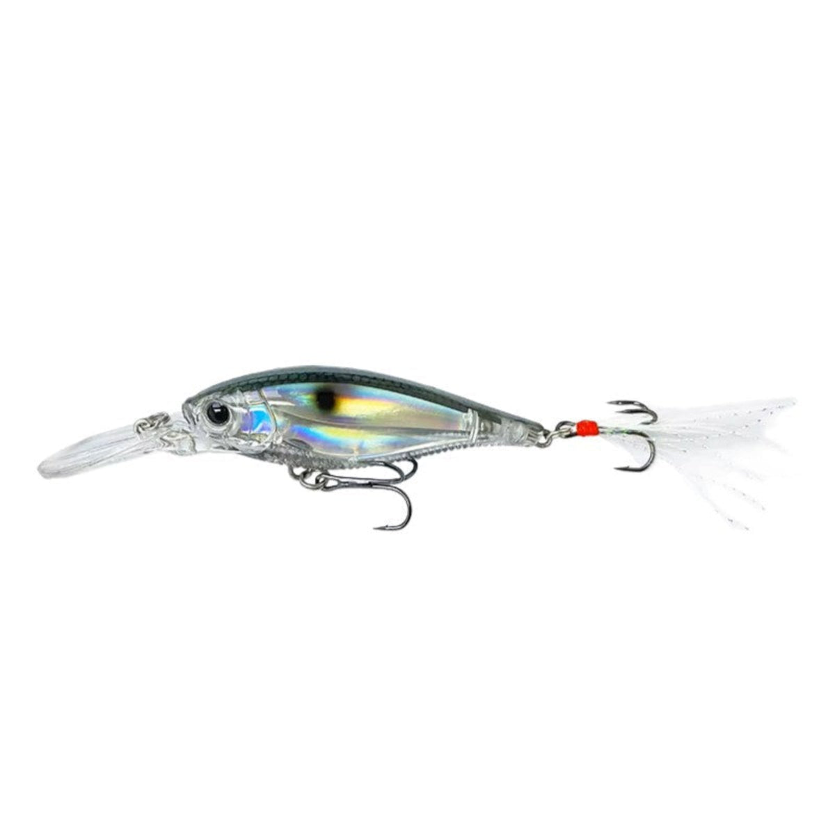 3D Minnow