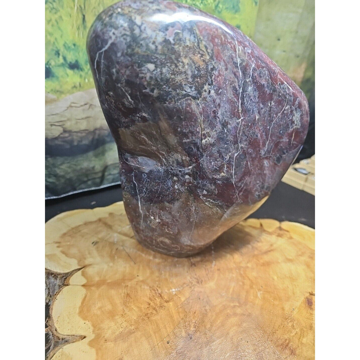 Chicken Blood Stone Quartz Crystal Mineral Specimen — 16.6 lbs, Vitality & Energy Stone