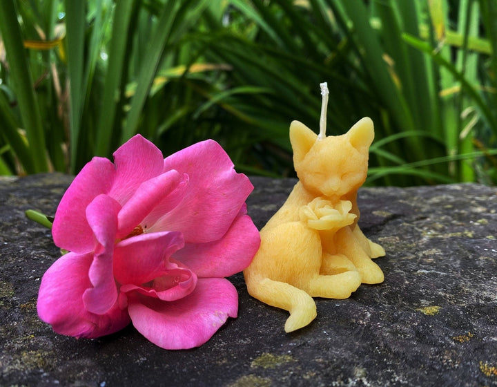 Kitty & Rose Beeswax Candle