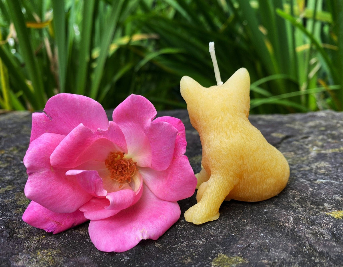 Kitty & Rose Beeswax Candle