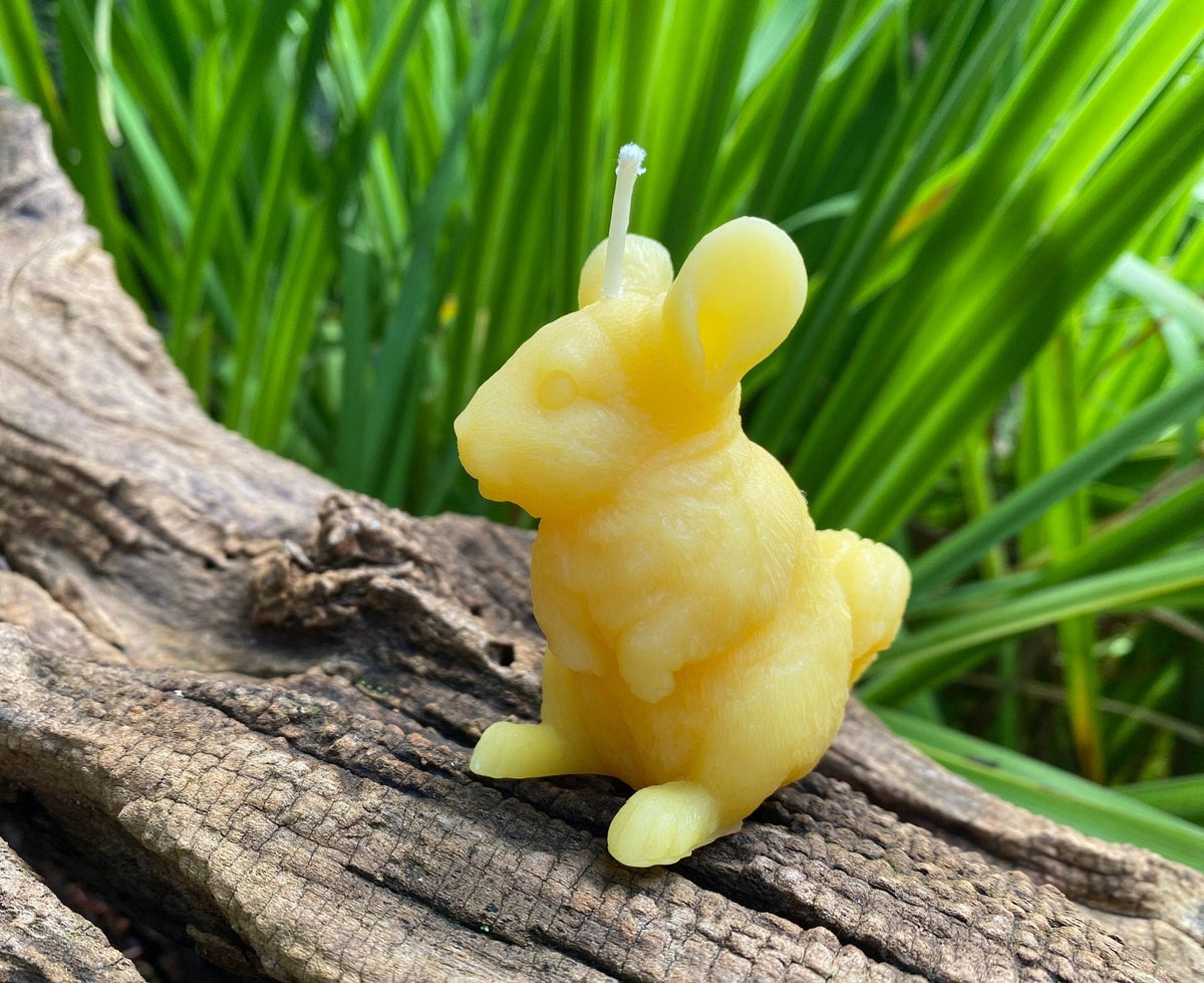 Chinchilla Beeswax Candle