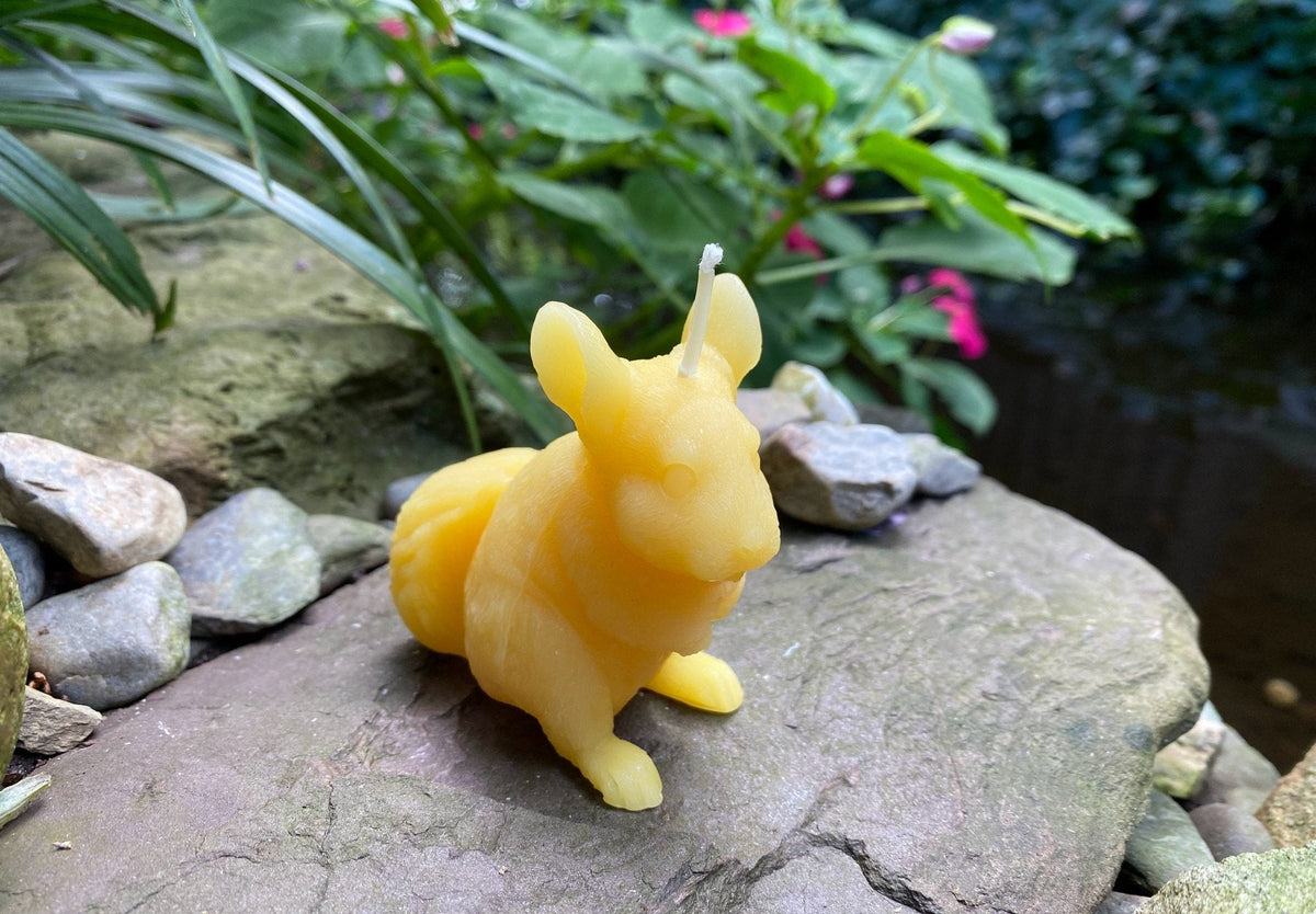 Chinchilla Beeswax Candle