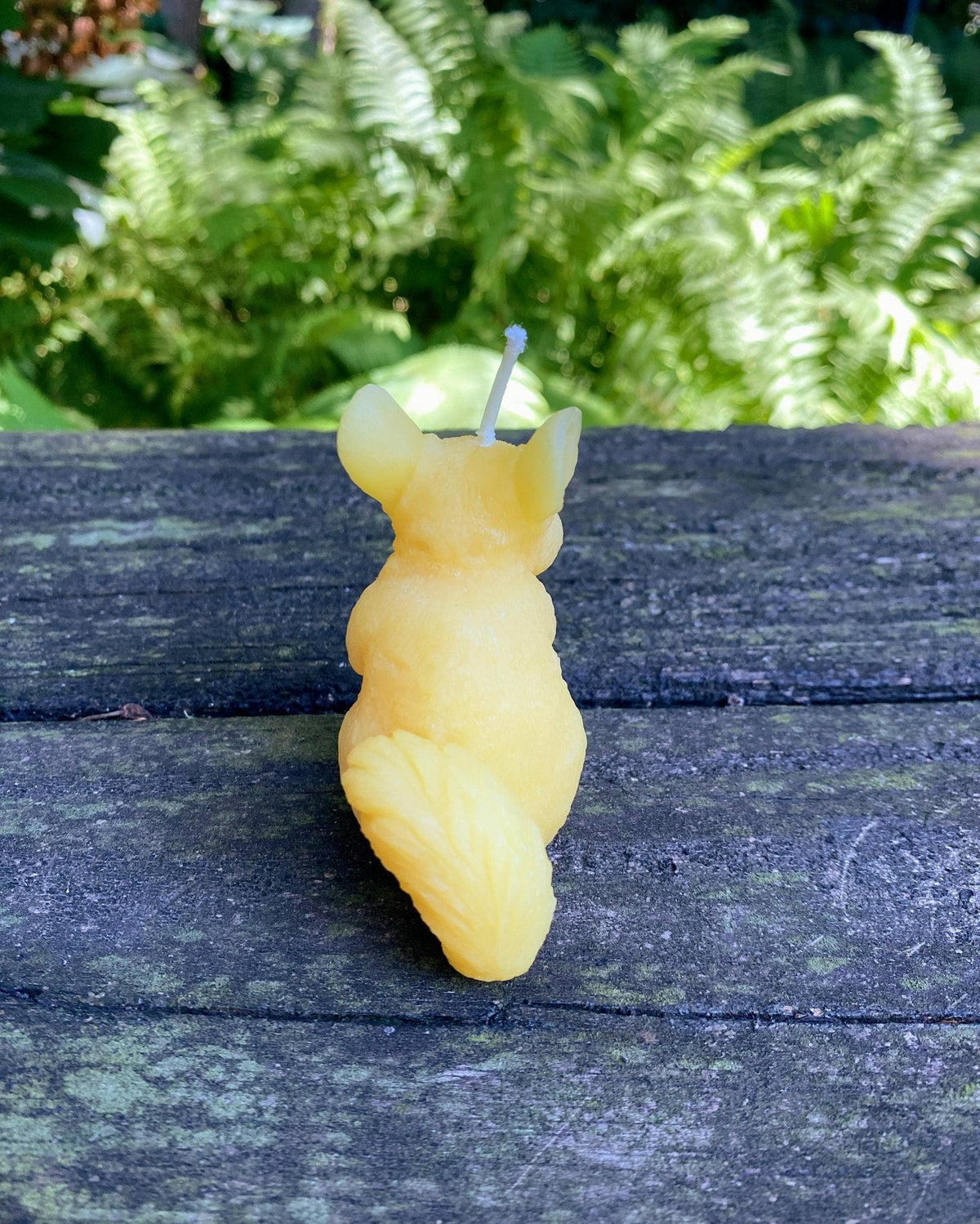 Chinchilla Beeswax Candle