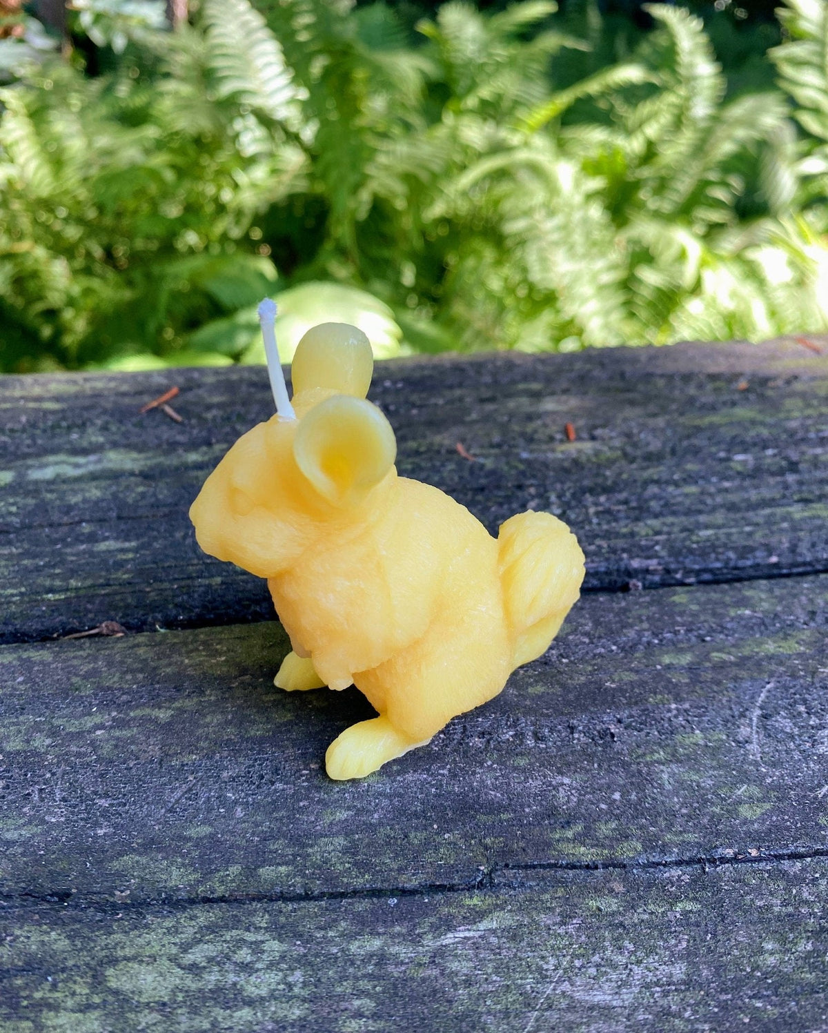 Chinchilla Beeswax Candle