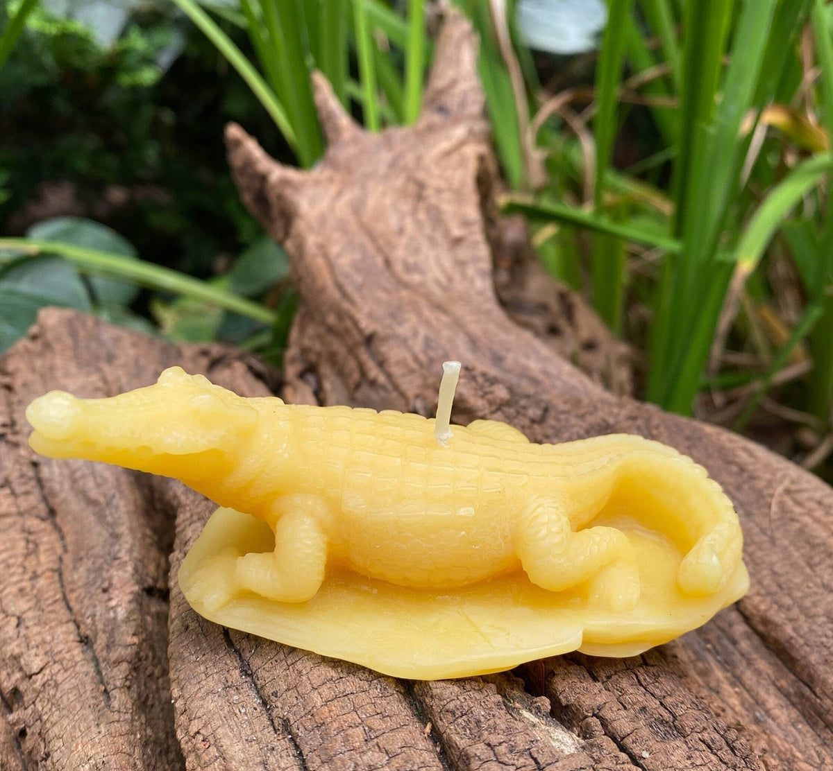 Crocodile Beeswax Candle