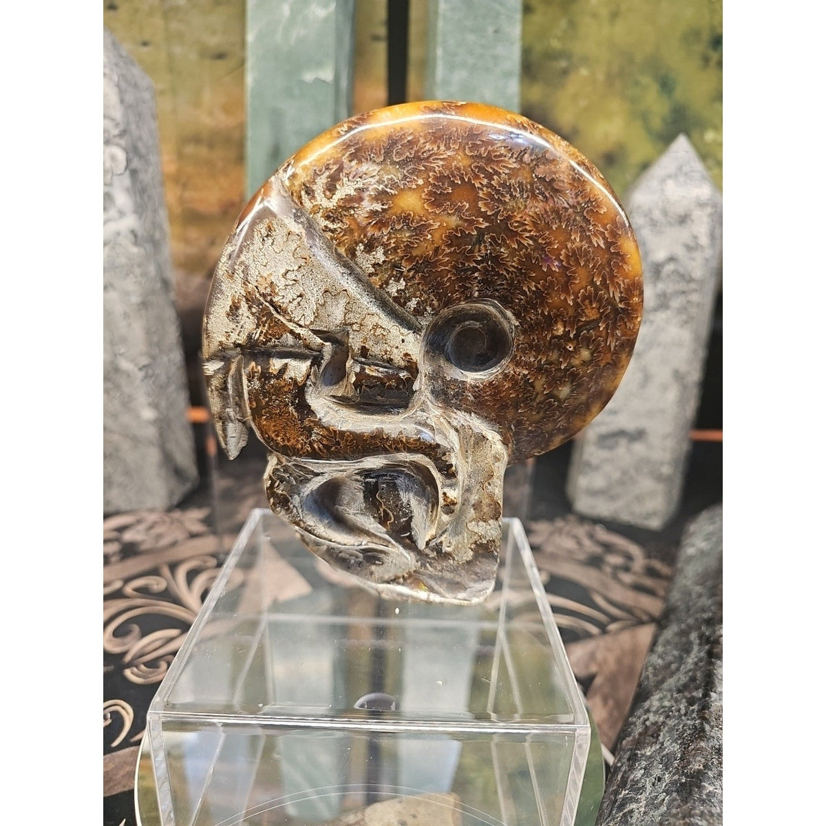 Natural Tentacle Ammonite Fossil – 1.26 lb Madagascar