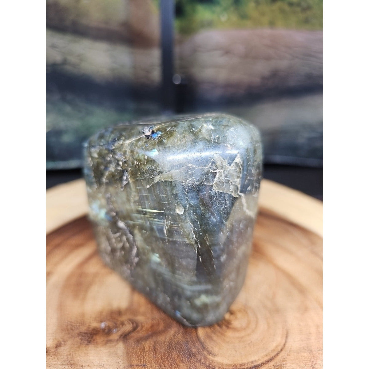 Rainbow Labradorite Spectrolite Specimen – 1.60 lb