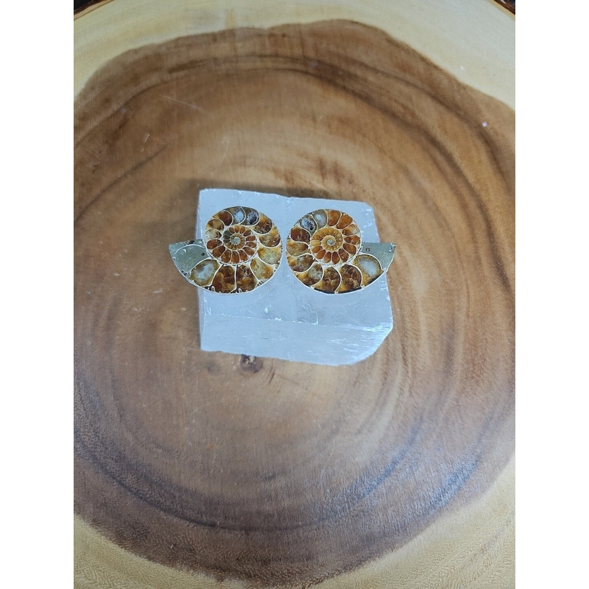Ammonite Fossil W/Selenite Base 260g