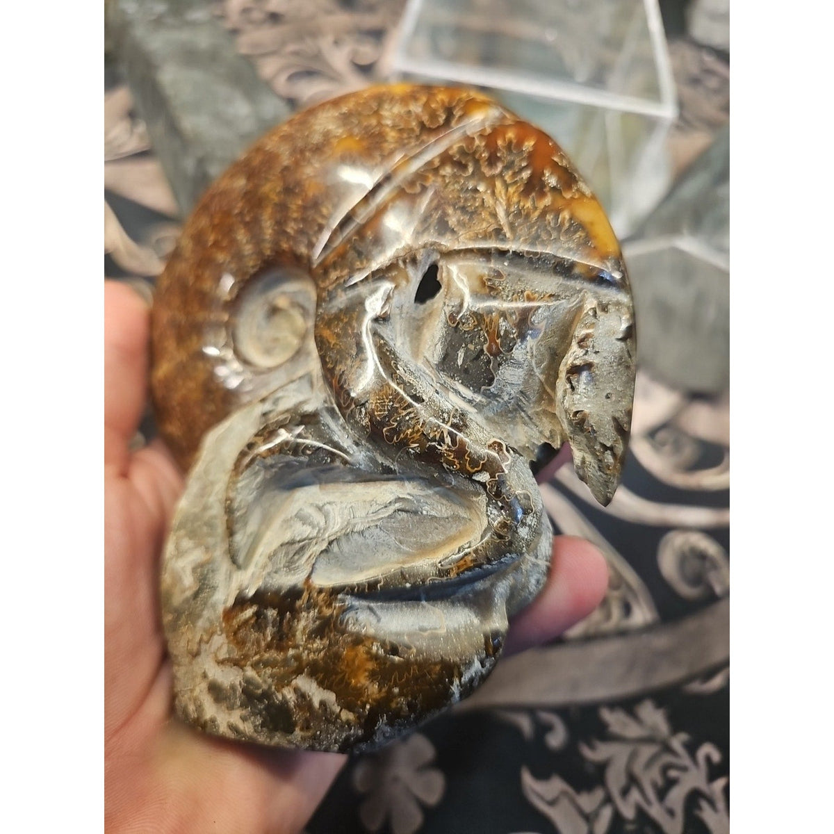 Natural Tentacle Ammonite Fossil – 1.26 lb Madagascar