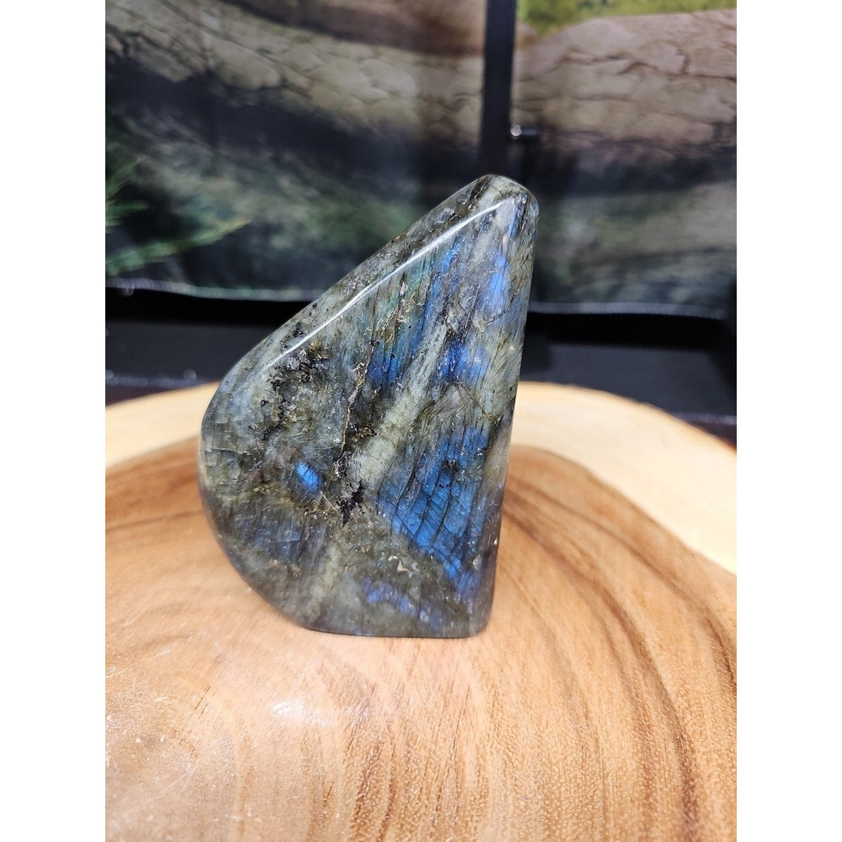 Rainbow Labradorite Spectrolite — 1.45lb, Color Flash Stone, Madagascar