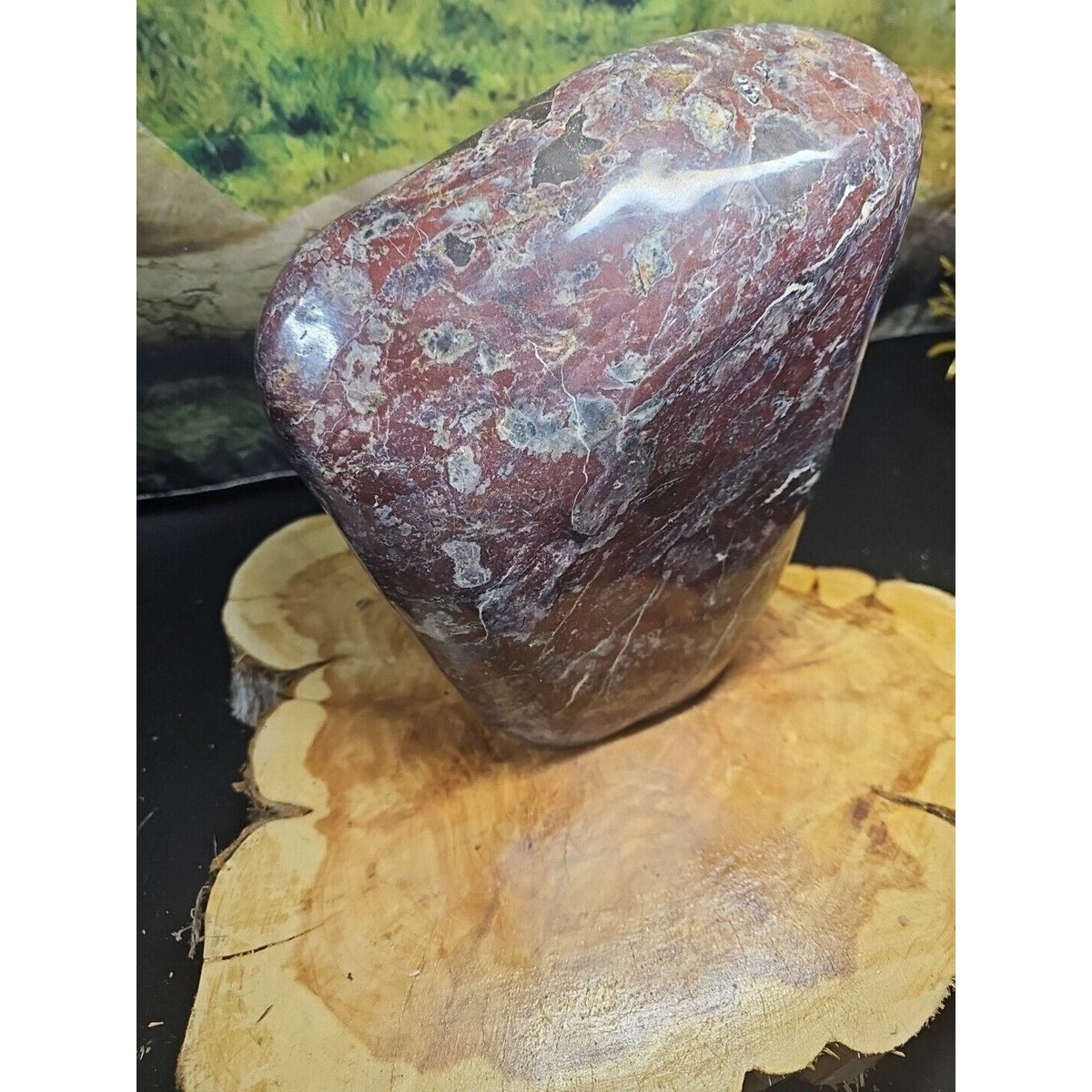 Chicken Blood Stone Quartz Crystal Mineral Specimen — 16.6 lbs, Vitality & Energy Stone